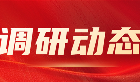 集团公司纪委委员、总会计师袁媛赴MG不朽情缘公司开展资产治理专项调研