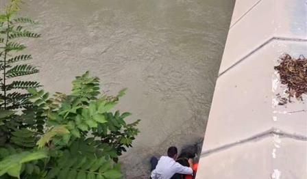 正能量！青龙湖应抢救援队勇救落水游客